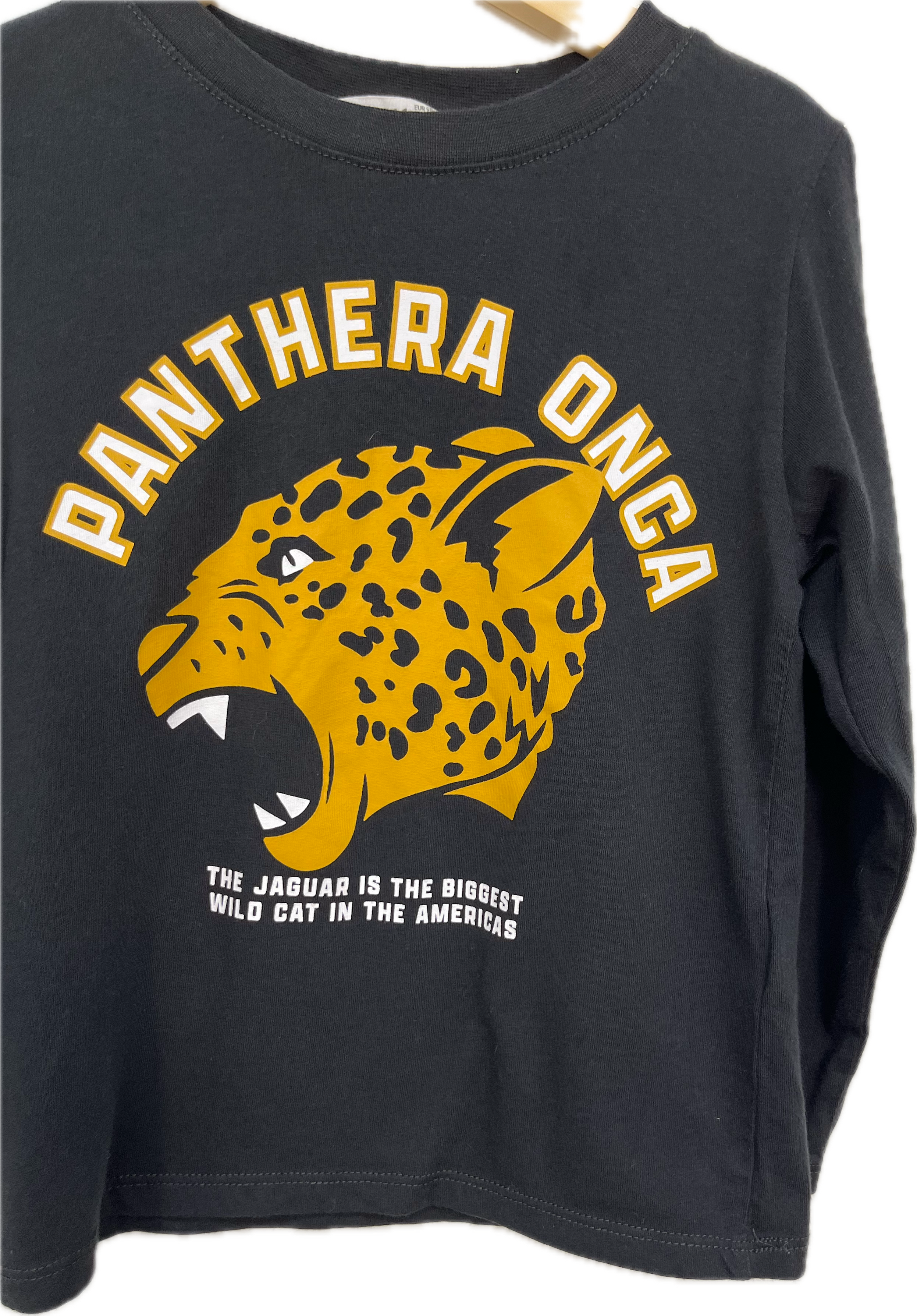 h&m panthera long sleeve shirt 3T