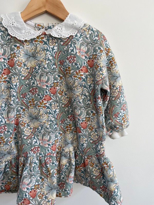 next antique botanical print collared dress 4T