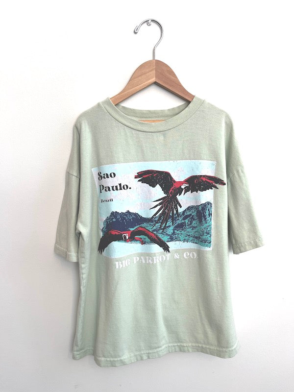 zara sao paulo parrot t shirt 9Y