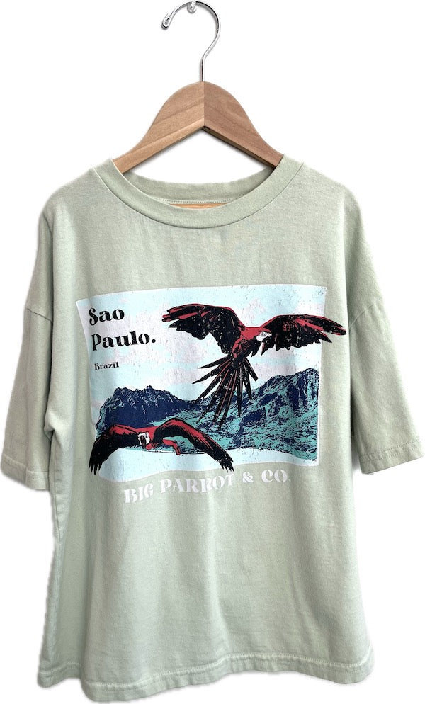 zara sao paulo parrot t shirt 9Y