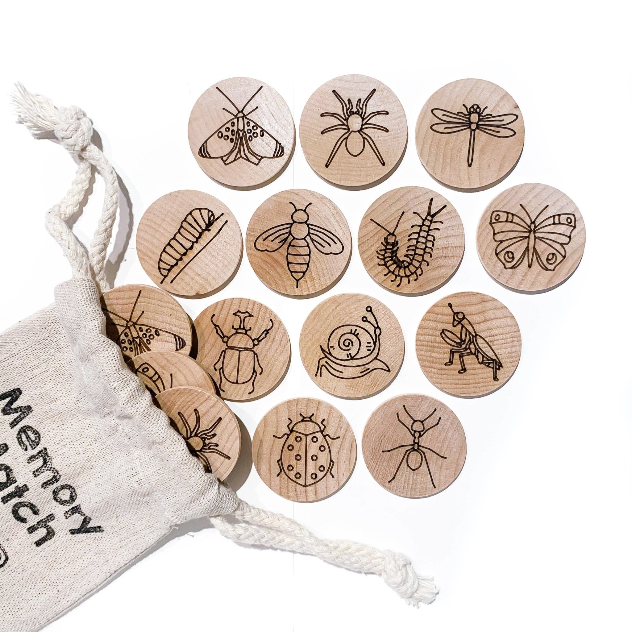 Insect Memory Matching Game - kinderfolk